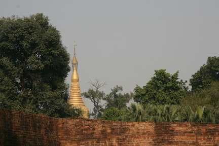 IMG 7779